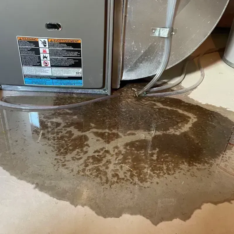 Appliance Leak Cleanup in Berkley, CO